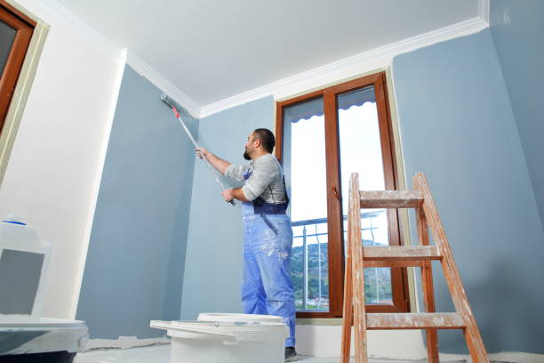 Best Mold Removal for HVAC Installations  in Albertson, NY