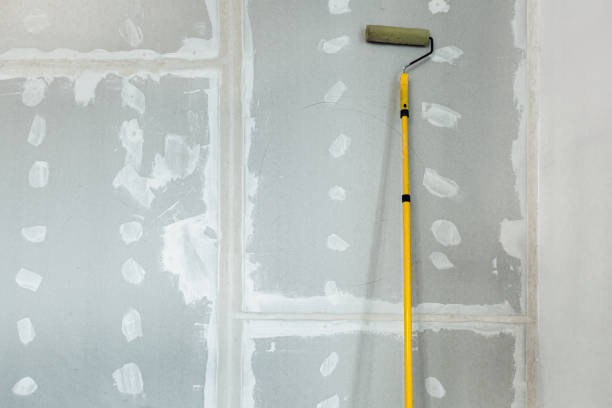 Best Mold Damage Restoration  in Albertson, NY