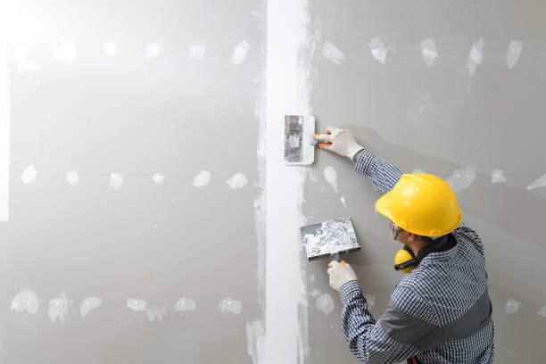 Best Basement Mold Removal  in Albertson, NY