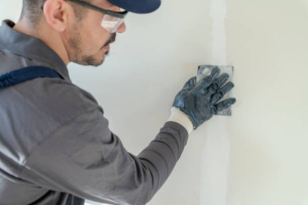 Best Residential Mold Inspection & Testing  in Albertson, NY