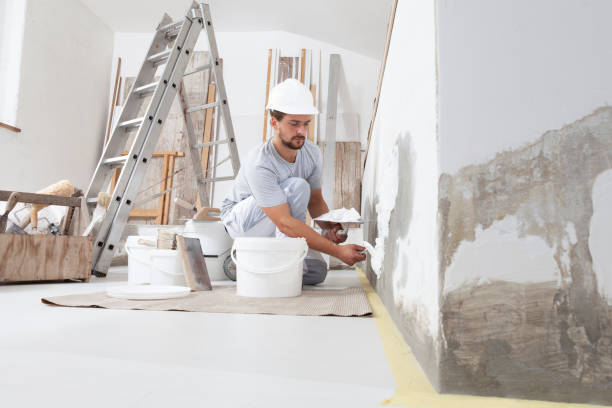 Best Real Estate Mold Inspection  in Albertson, NY