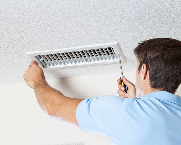 Best Attic Mold Removal  in Albertson, NY